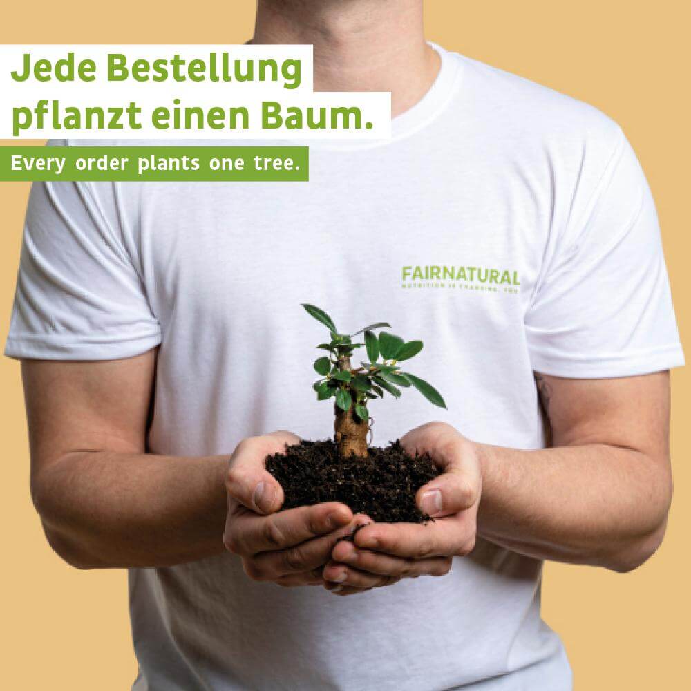 Muskelaufbau Bundle Vegan