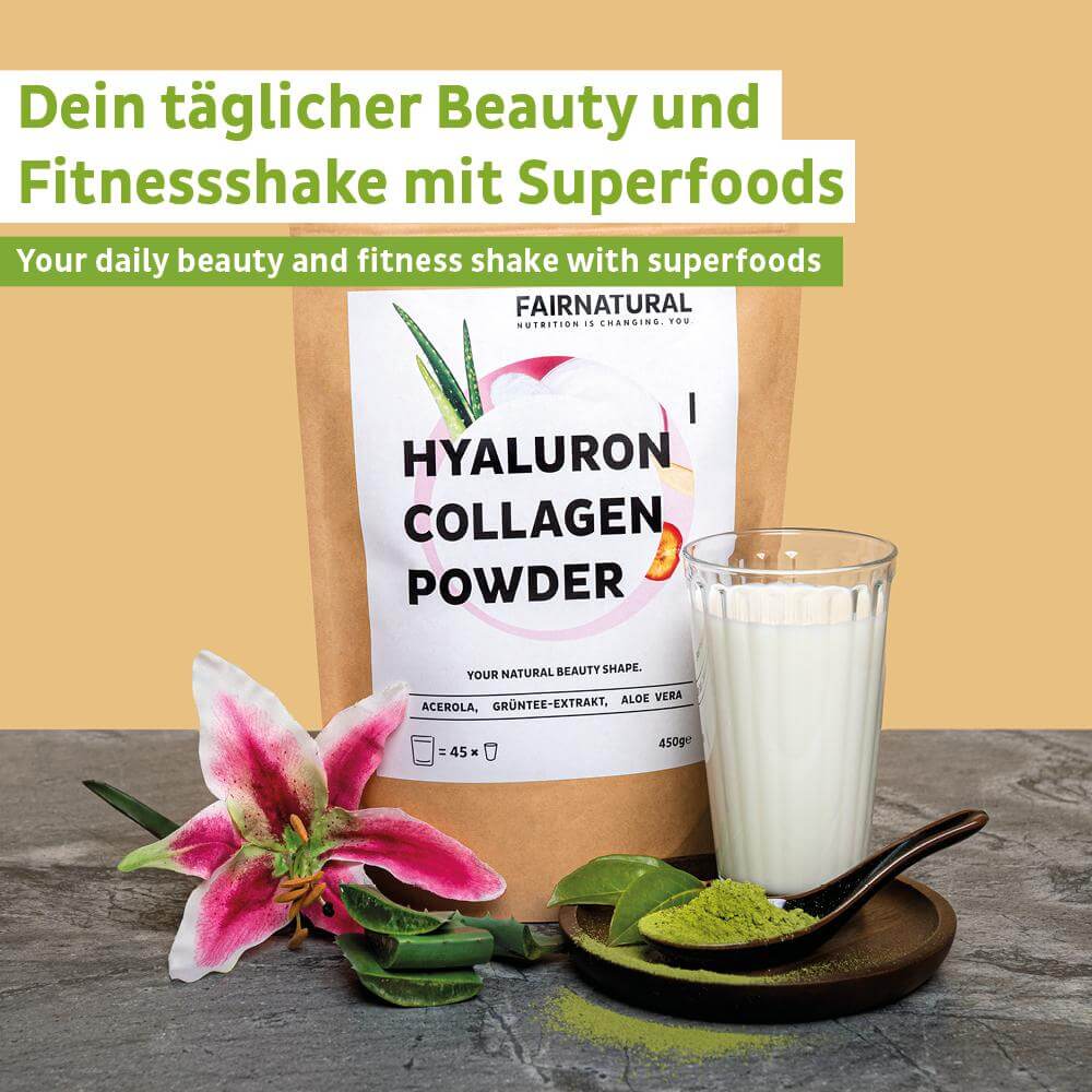 Kollagen Hyaluron Pulver 1er Pack (450g)